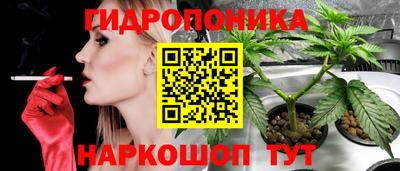 ПСИЛОЦИБИНОВЫЕ ГРИБЫ Владивосток